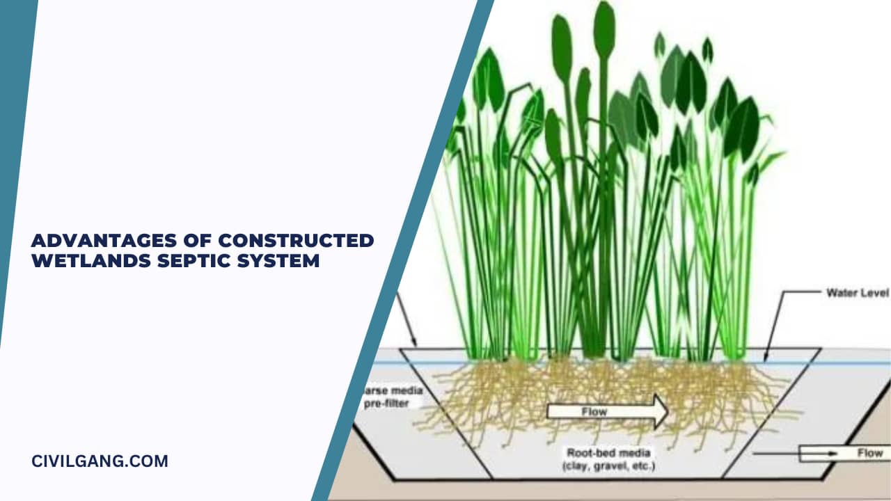 Advantages of Constructed Wetlands Septic System