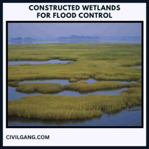 Constructed Wetlands for Flood Control