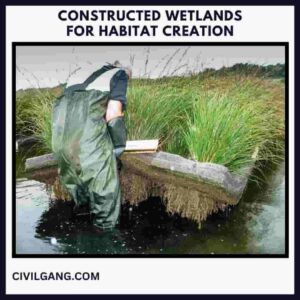 Constructed Wetlands for Habitat Creation