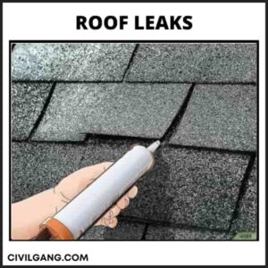 Roof Leaks