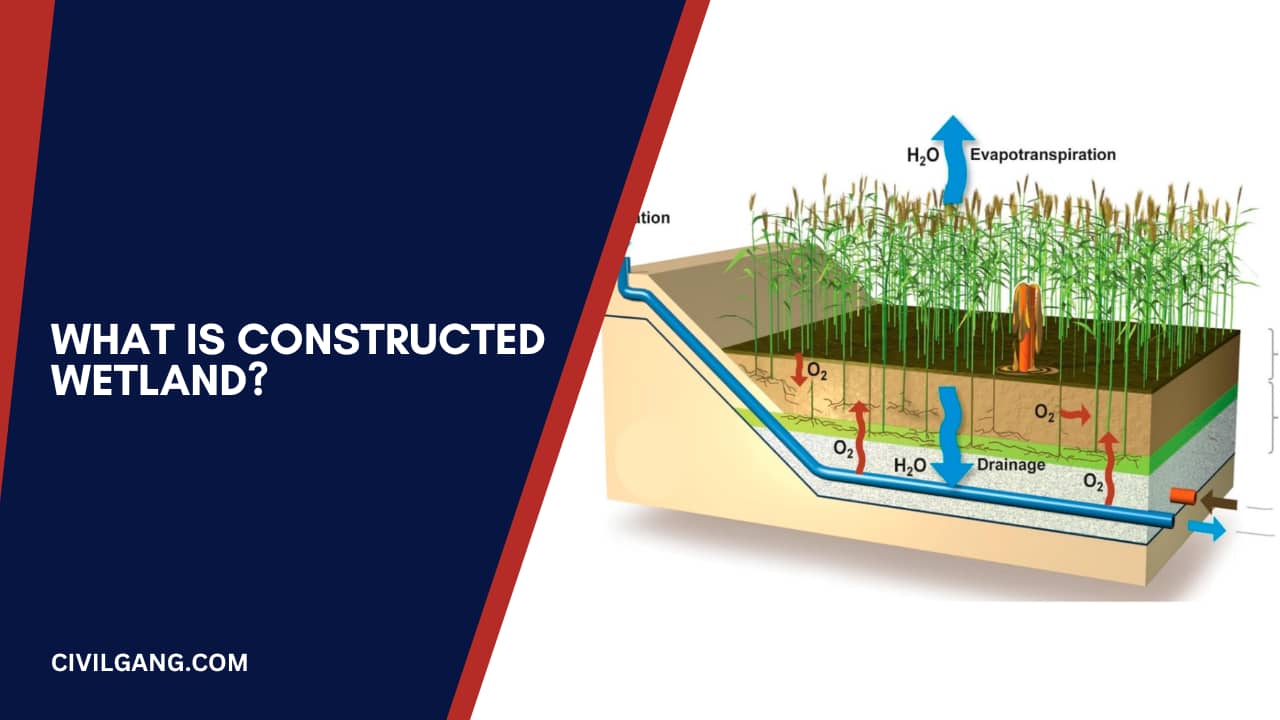 What Is Constructed Wetland