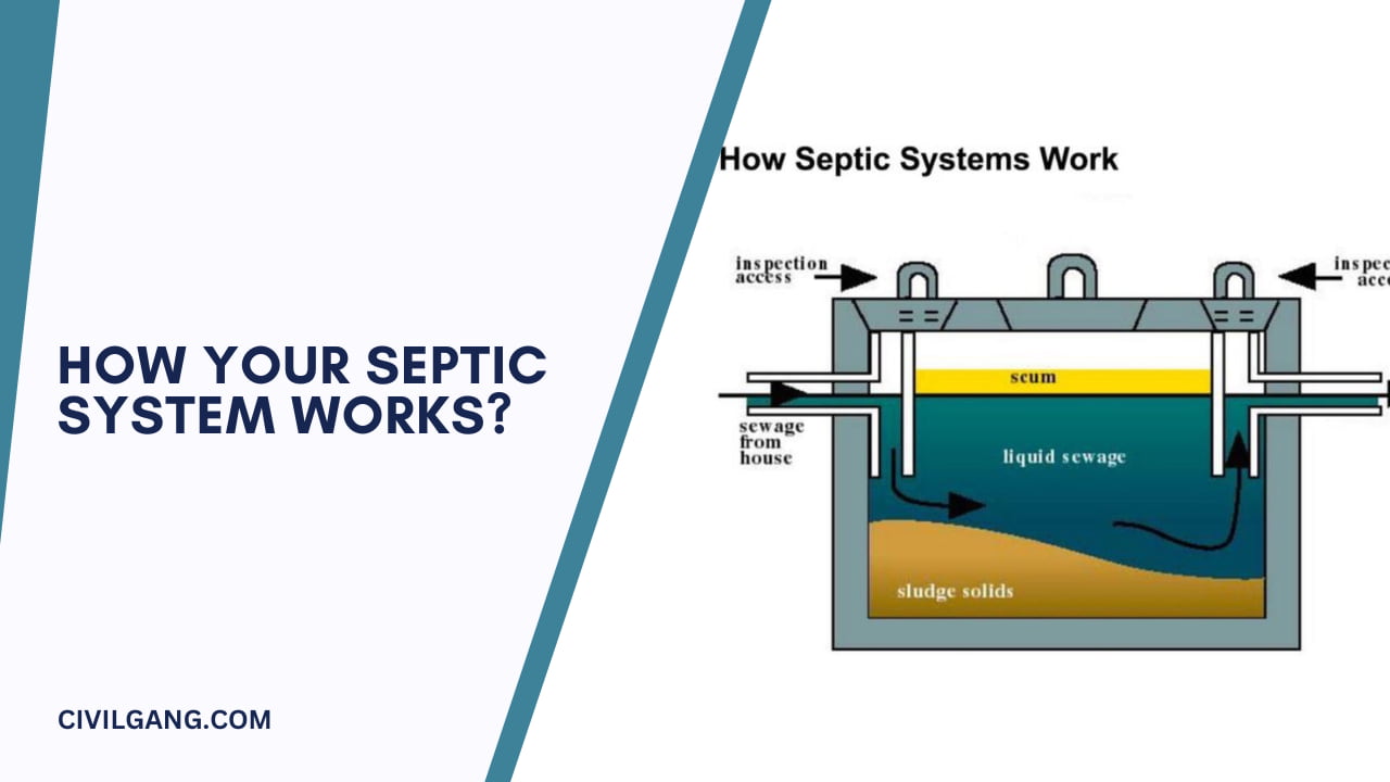 How Your Septic System Works?