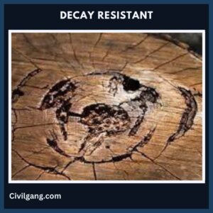 Decay Resistant