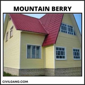 Mountain Berry