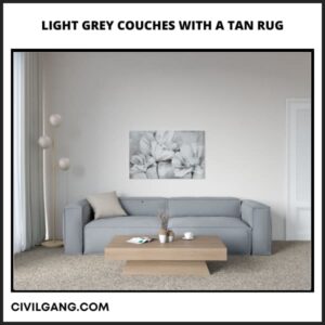 Light Grey Couches with a Tan Rug