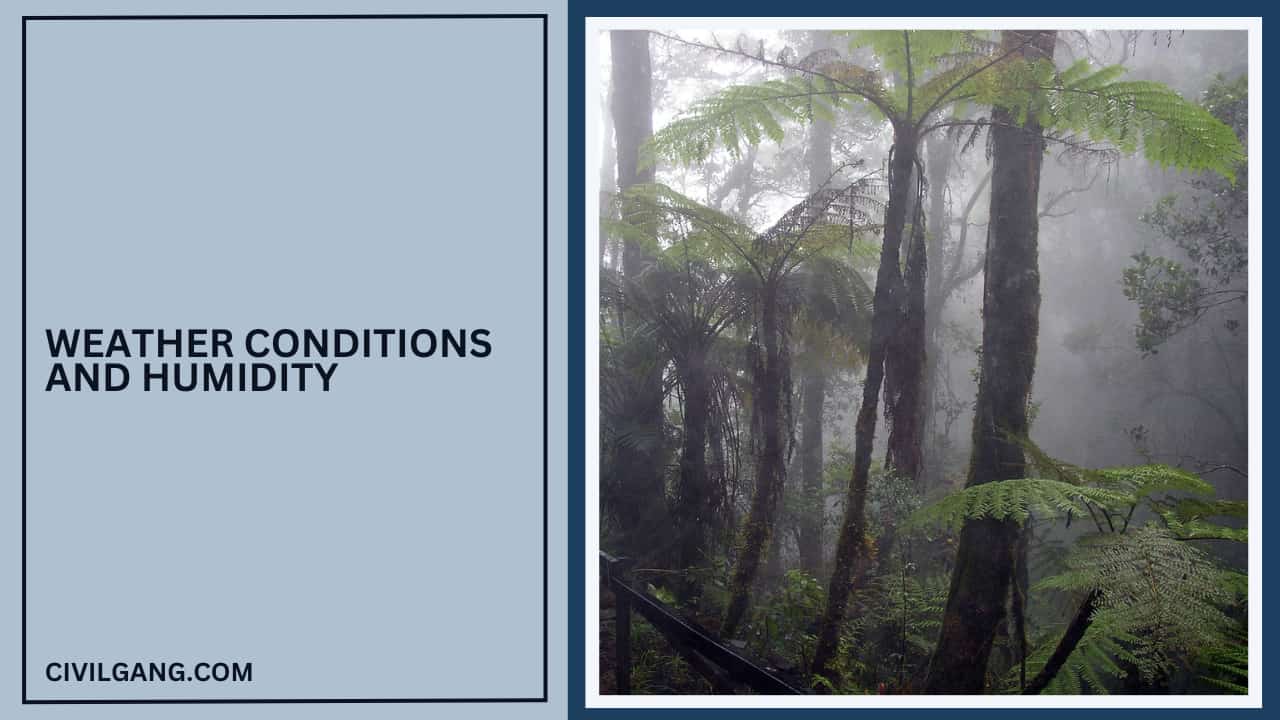 Weather Conditions and Humidity
