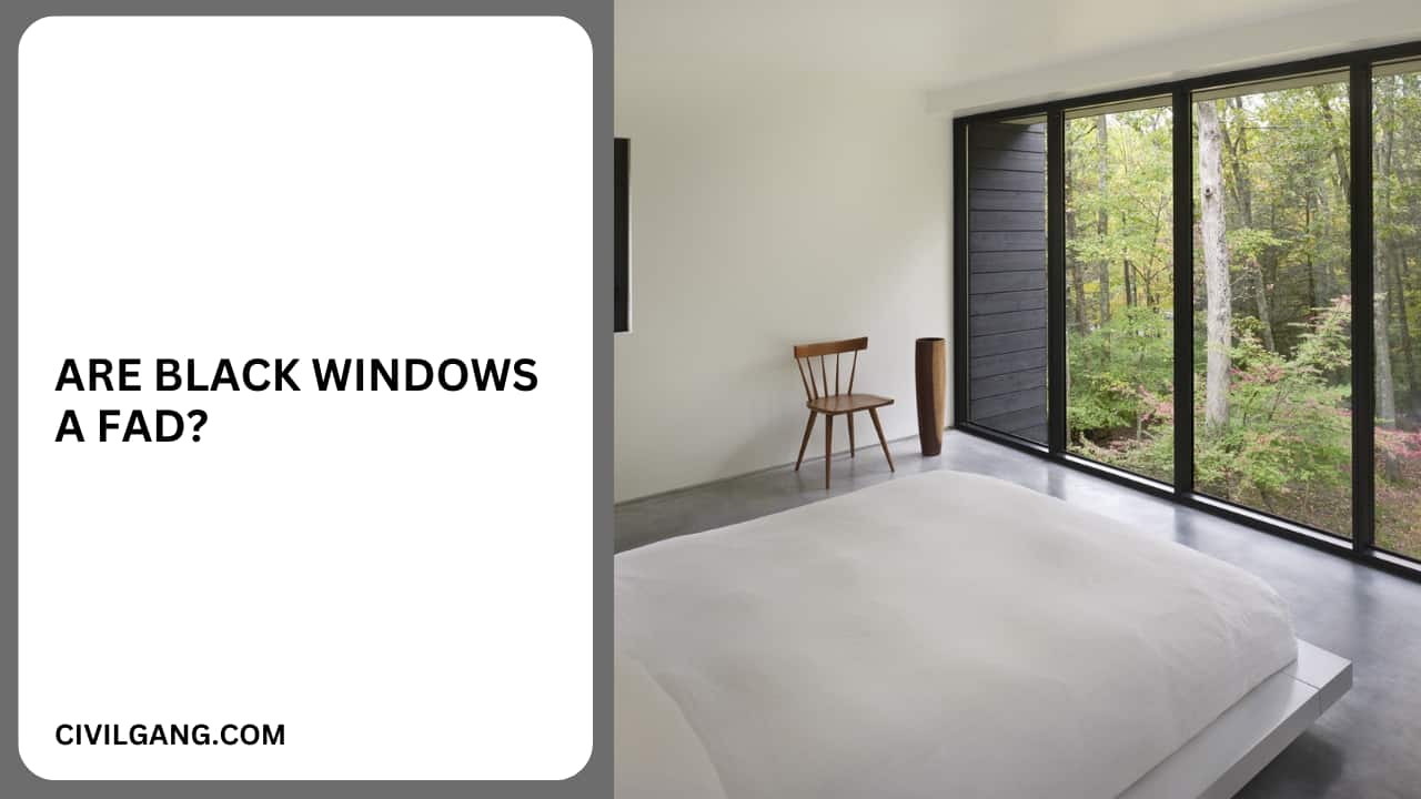 Are Black Windows a Fad?