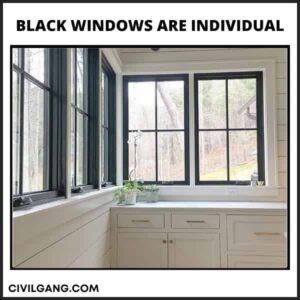 Black Windows Are Individual