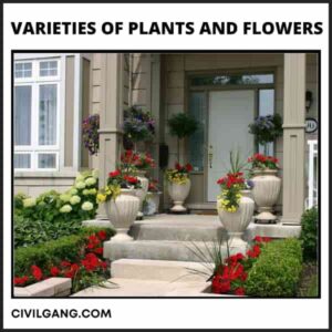 Varieties of Plants and Flowers
