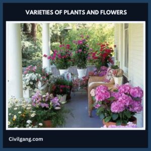 Varieties of Plants and Flowers