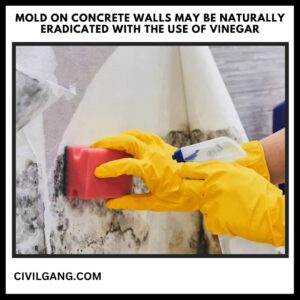 Mold on Concrete Walls May Be Naturally Eradicated with the Use of Vinegar