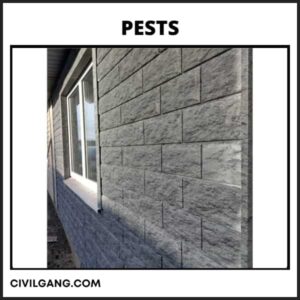 Pests