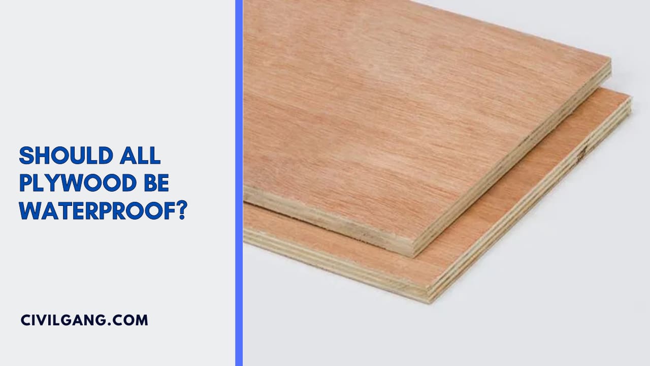 Should All Plywood Be Waterproof?