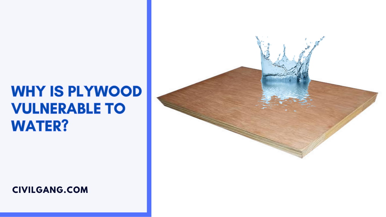 Why Is Plywood Vulnerable To Water?