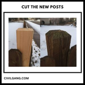 Cut the New Posts