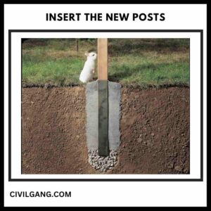 Insert the New Posts