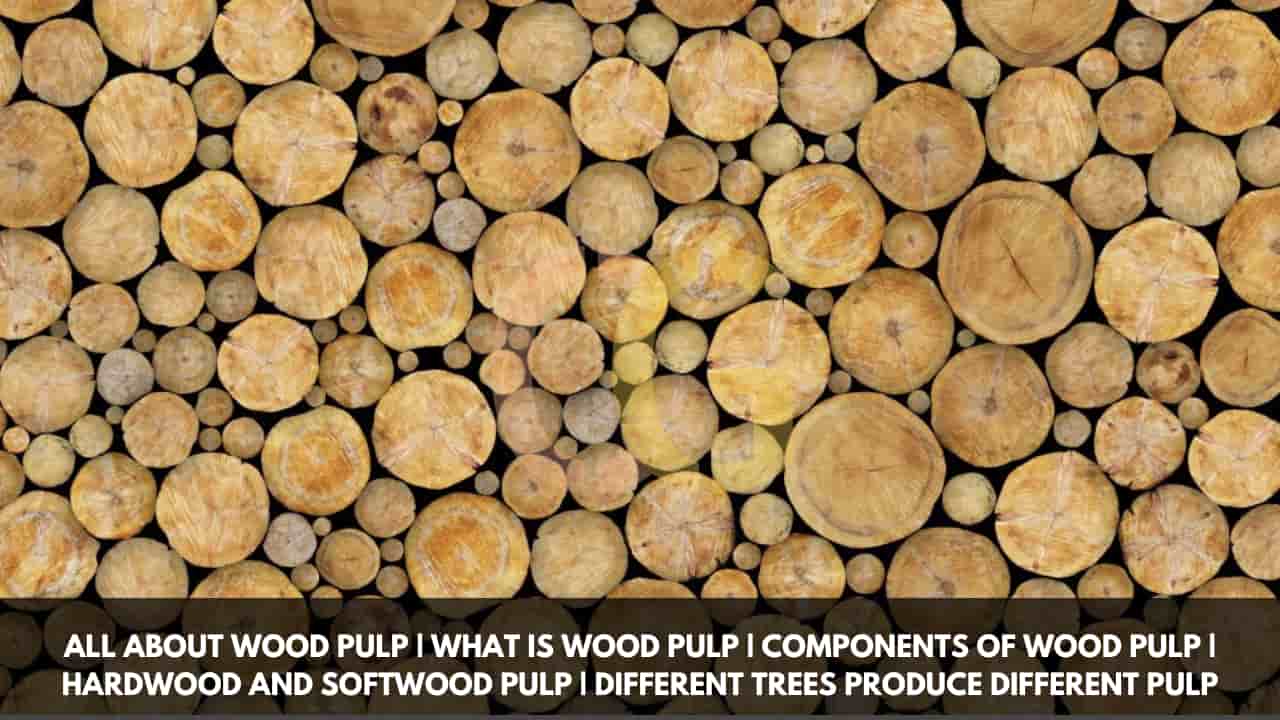 All About Wood Pulp | What Is Wood Pulp | Components of Wood Pulp | Hardwood and Softwood Pulp | Different Trees Produce Different Pulp