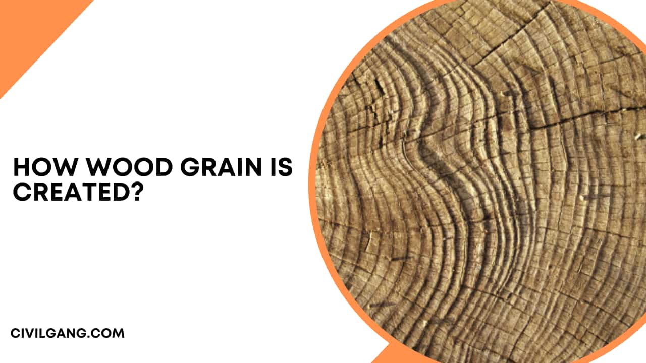 How Wood Grain Is Created?