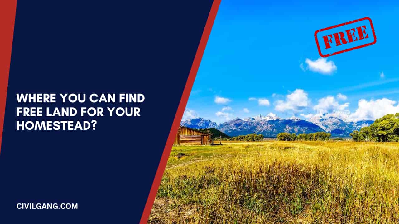 Where You Can Find Free Land for Your Homestead?