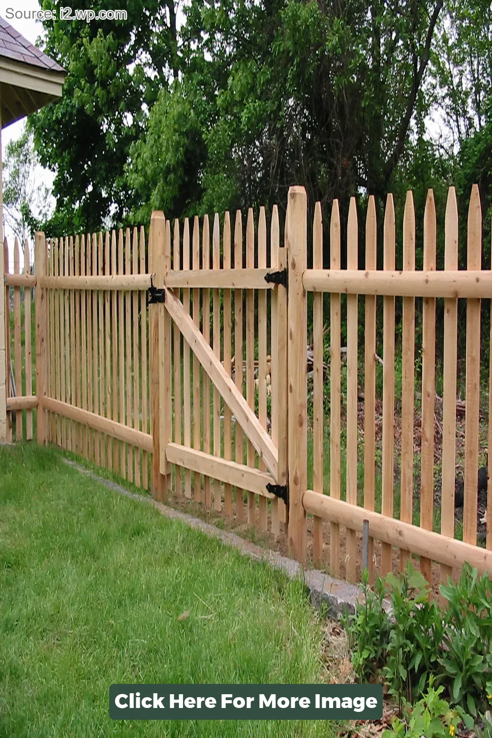 Fencing Option for Backyard