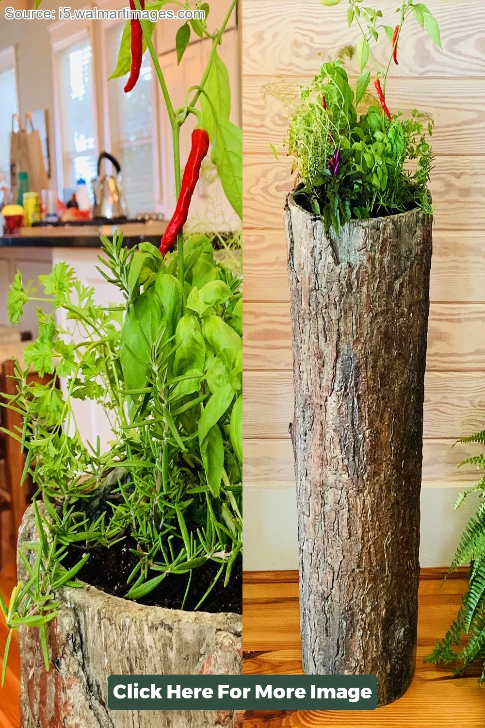 Unique Planter Outdoor