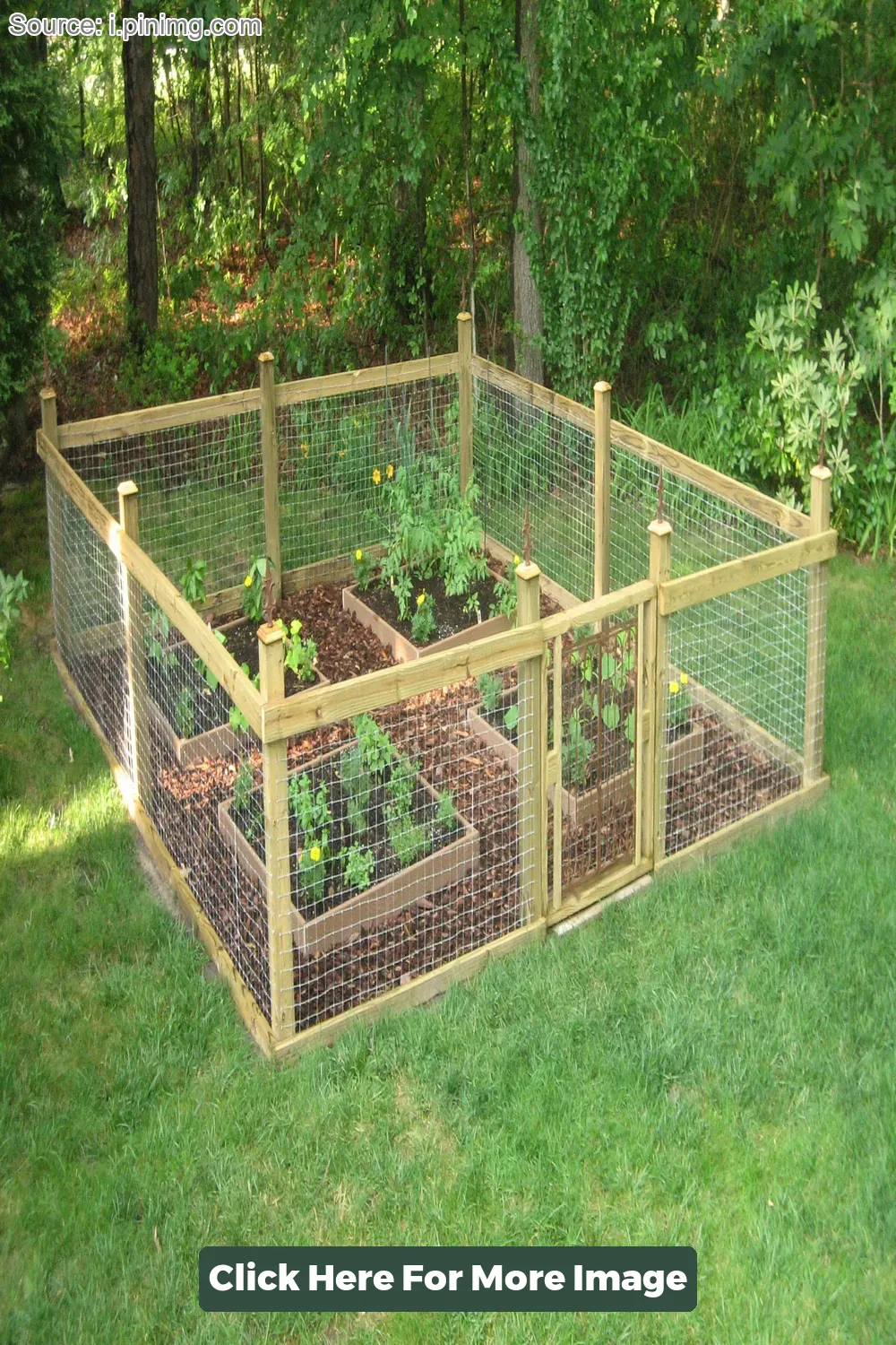 Top 40 Vegetable Garden Fence Ideas