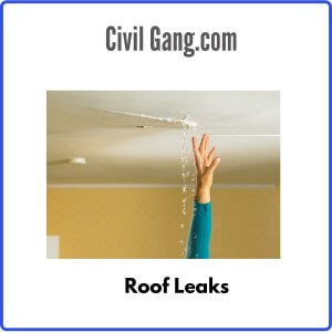 Roof Leaks 