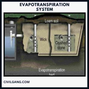 Evapotranspiration System