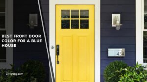 Best Front Door Color For A Blue House