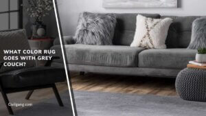 What Color Rug Goes with Grey Couch?