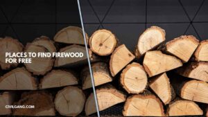 Places to Find Firewood for Free